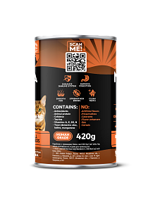 Нежные кусочки из курицы с овощным рагу жб 420г