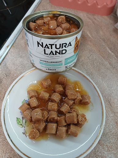 Лапочка, собака, 8 месяцев 