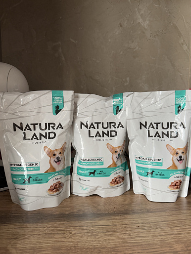 Лукас, 6 лет, такса