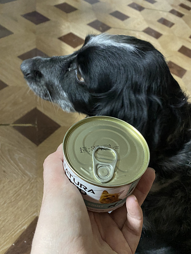 Джесси, 9 лет