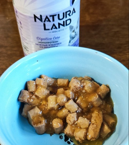 Эцио метис, Чип, метис