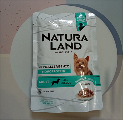 Тоша, метис, 16 лет