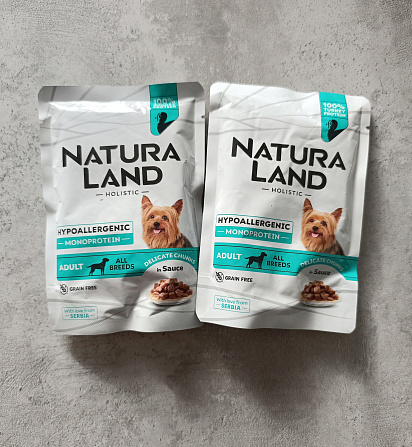 Дейзи, метис 6 лет