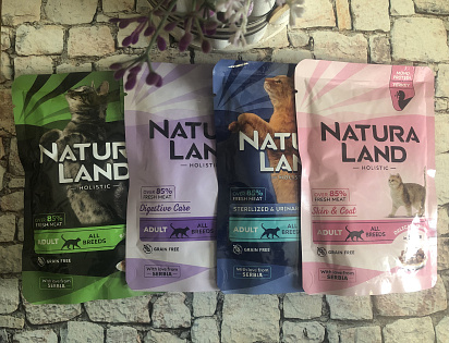 Кот Пушок. 2,5 года