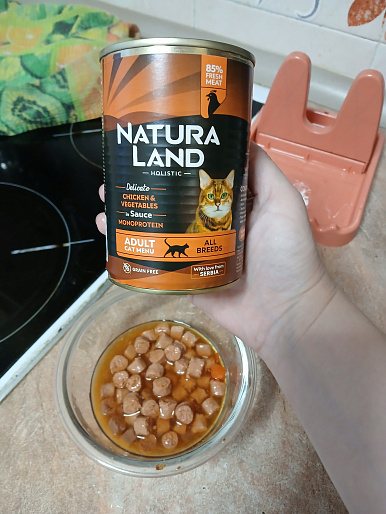 Маруся, кошка,  5 лет