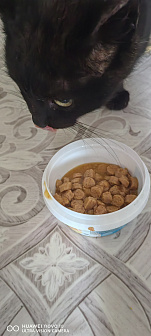 Кузя