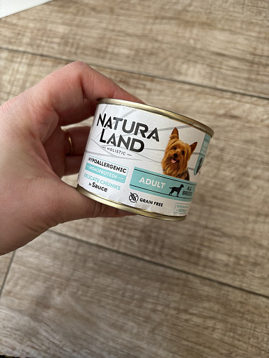 Альба, 3 года