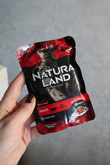 Пьер, 9 лет, питерболд