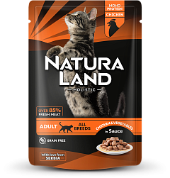 Нежные кусочки из курицы с овощным рагу