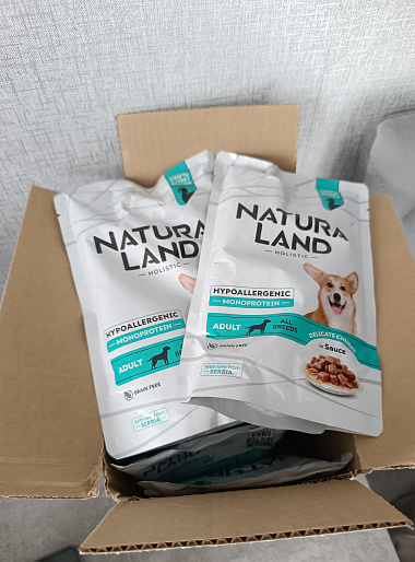 Дейзи, метис 6 лет