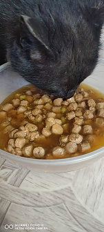 Кузя
