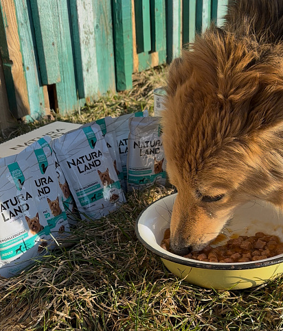 Альба, 3 года