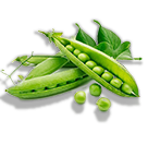 Зеленый горошек