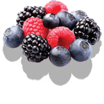 Лесные ягоды