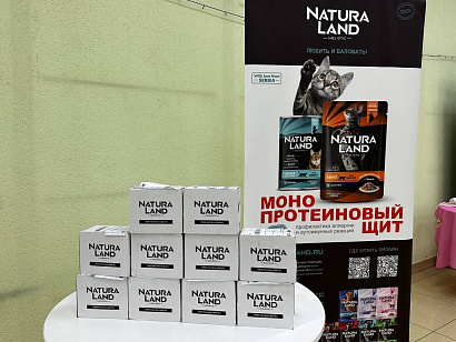 юбилейная международная выставка кошек «Новый червонец» 