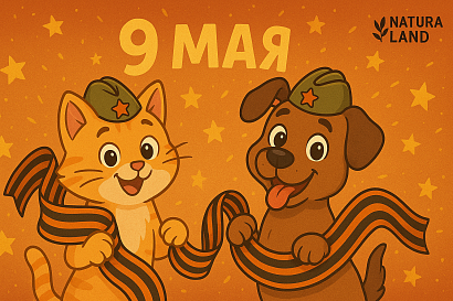 С праздником 9 мая!